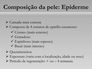 Composição da pele: Epiderme
 Camada mais externa
 Composta de 4 estratos de epitélio escamoso:
 Córneo (mais externo)
 Granuloso
 Espinhoso (mais espesso)
 Basal (mais interno)
 Queratinócitos
 Espessura (varia com a localização, idade ou sexo)
 Período de regeneração: + ou – 4 semanas.
 