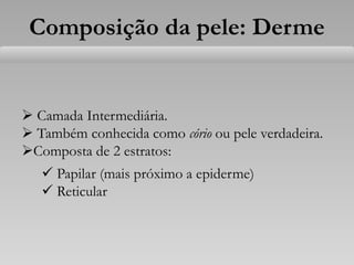 Composição da pele: Derme
 Camada Intermediária.
 Também conhecida como cório ou pele verdadeira.
Composta de 2 estratos:
 Papilar (mais próximo a epiderme)
 Reticular
 