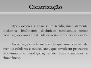 Cicatrização
Após ocorrer a lesão a um tecido, imediatamente
iniciam-se fenômenos dinâmicos conhecidos como
cicatrização, com a finalidade de restaurar o tecido lesado.
Cicatrização nada mais é do que uma cascata de
eventos celulares e moleculares, que envolvem processos
bioquímicos e fisiológicos, sendo estes dinâmicos e
simultâneos.
 
