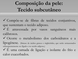 Composição da pele:
Tecido subcutâneo
 Compõe-se de fibras de tecidos conjuntivos,
que sustentam o tecido adiposo.
 É atravessada por vasos sanguíneos mais
calibrosos.
 Ocorre o metabolismo dos carboidratos e a
lipogênese. (Síntese de ácidos graxos e triglicérides, que serão armazenados
subsequentemente no fígado e no tecido adiposo.)
 É uma camada de ligação e isolante do frio e
calor exacerbados.
 
