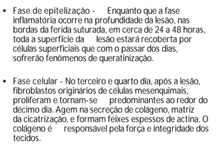 • Fase de epitelização - Enquanto que a fase
inflamatória ocorre na profundidade da lesão, nas
bordas da ferida suturada, em cerca de 24 a 48 horas,
toda a superfí
cie da lesão estará recoberta por
células superficiais que com o passar dos dias,
sofrerão fenômenos de queratinização.
• Fase celular - No terceiro e quarto dia, após a lesão,
fibroblastos originários de células mesenquimais,
proliferam e tornam-se predominantes ao redor do
décimo dia. Agem na secreção de colágeno, matriz
da cicatrização, e formam feixes espessos de actina. O
colágeno é responsável pela força e integridade dos
tecidos.
 
