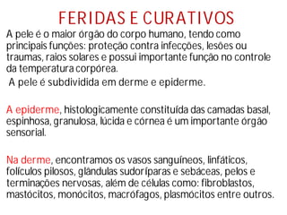 FERIDAS E CURATIVOS
A pele é o maior órgão do corpo humano, tendo como
principais funções: proteção contra infecções, lesões ou
traumas, raios solares e possui importante função no controle
da temperatura corpórea.
A pele é subdividida em derme e epiderme.
A epiderme, histologicamente constituí
da das camadas basal,
espinhosa, granulosa, lúcida e córnea é um importante órgão
sensorial.
Na derme, encontramos os vasos sanguí
neos, linfáticos,
folí
culos pilosos, glândulas sudorí
paras e sebáceas, pelos e
terminações nervosas, além de células como: fibroblastos,
mastócitos, monócitos, macrófagos, plasmócitos entre outros.
 