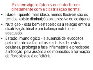 Existem alguns fatores que interferem
diretamente com a cicatrização normal:
•Idade - quanto mais idoso, menos flexí
veis são os
tecidos; existe diminuição progressiva do colágeno.
•Nutrição - está bem estabelecida a relação entre a
cicatrização ideal e um balanço nutricional
adequado.
•Estado imunológico - a ausência de leucócitos,
pelo retardo da fagocitose e da lise de restos
celulares, prolonga a fase inflamatória e predispõe
à infecção; pela ausência de monócitos a formação
de fibroblastos é deficitária.
 
