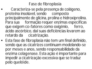 Fase de fibroplasia
• Caracteriza-se pela presença de colágeno,
proteí
na insolúvel, sendo composto
principalmente de glicina, prolina e hidroxiprolina.
Para sua formação requer enzimas especí
ficas
que exigem co-fatores como oxigênio, ferro,
ácido ascórbico, daísuas deficiências levarem ao
retardo da cicatrização.
•Esta fase de fibroplasia não tem um final definido,
sendo que as cicatrizes continuam modelando-se
por meses e anos, sendo responsabilidade da
enzima colagenase. Esta ação é importante para
impedir a cicatrização excessiva que se traduz
pelo quelóide.
 