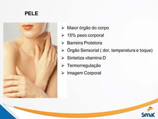 PELE
 Maior órgão do corpo
 15% peso corporal
 Barreira Protetora
 Órgão Sensorial ( dor, temperatura e toque)
 Sintetiza vitamina D
 Termorregulação
 Imagem Corporal
 