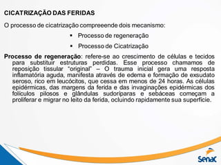 CICATRIZAÇÃO DAS FERIDAS
O processo de cicatrização compreeende dois mecanismo:
 Processo de regeneração
 Processo de Cicatrização
Processo de regeneração: refere-se ao crescimento de células e tecidos
para substituir estruturas perdidas. Esse processo chamamos de
reposição tissular “original” – O trauma inicial gera uma resposta
inflamatória aguda, manifesta através de edema e formação de exsudato
seroso, rico em leucócitos, que cessa em menos de 24 horas. As células
epidérmicas, das margens da ferida e das invaginações epidérmicas dos
folículos pilosos e glândulas sudoríparas e sebáceas começam a
proliferar e migrar no leito da ferida, ocluindo rapidamente sua superfície.
 