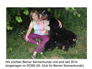 Wir züchten Berner Sennenhunde und sind seit 2014
eingetragen im DCBS (Dt. Club für Berner Sennenhunde).
 