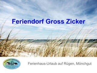 Feriendorf Gross Zicker
Ferienhaus-Urlaub auf Rügen, Mönchgut
 