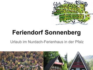Feriendorf Sonnenberg
Urlaub im Nurdach-Ferienhaus in der Pfalz
 