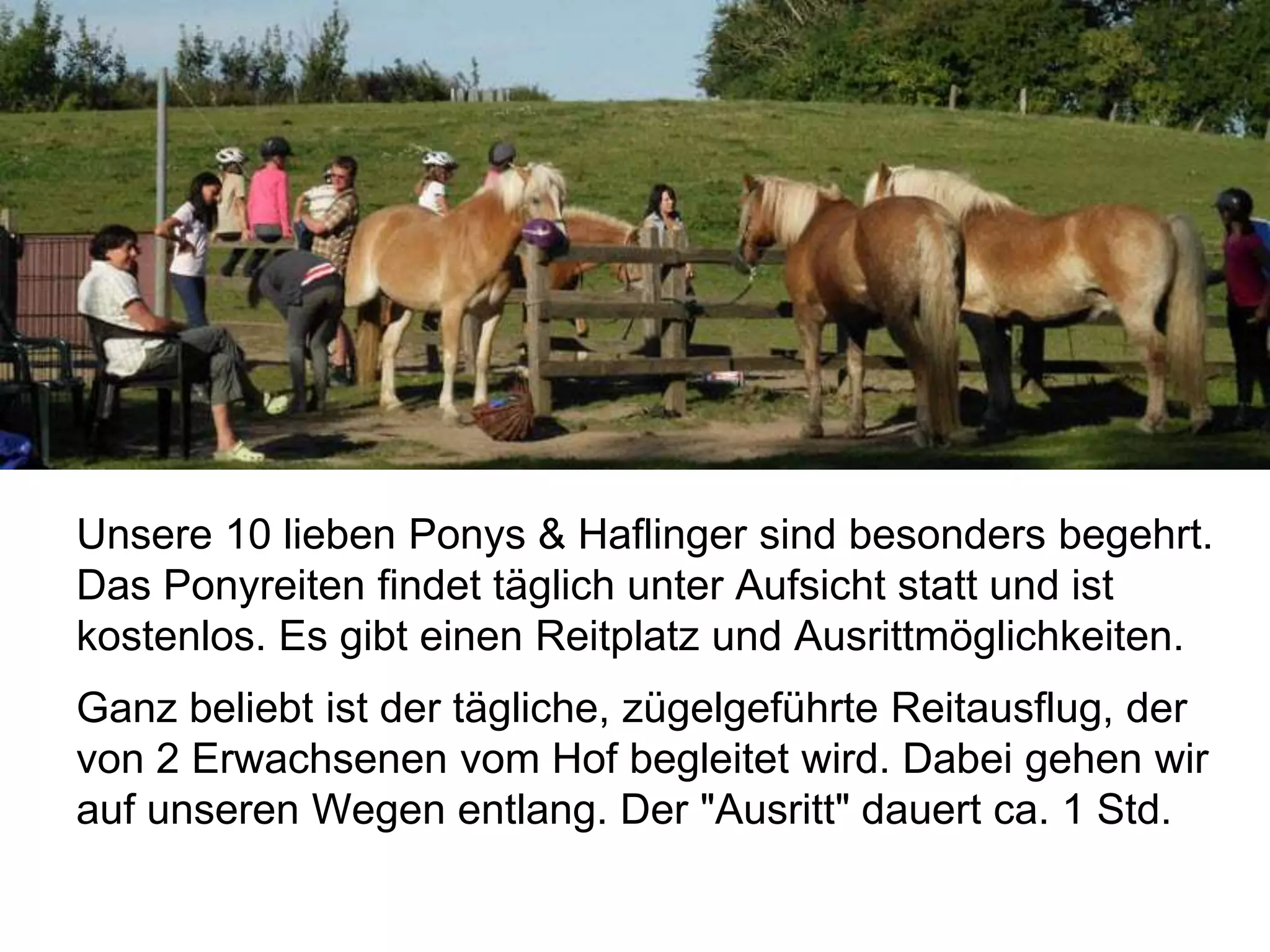 Unsere 10 lieben Ponys & Haflinger sind besonders begehrt.
Das Ponyreiten findet täglich unter Aufsicht statt und ist
kostenlos. Es gibt einen Reitplatz und Ausrittmöglichkeiten.
Ganz beliebt ist der tägliche, zügelgeführte Reitausflug, der
von 2 Erwachsenen vom Hof begleitet wird. Dabei gehen wir
auf unseren Wegen entlang. Der "Ausritt" dauert ca. 1 Std.
 