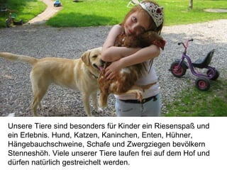 Unsere Tiere sind besonders für Kinder ein Riesenspaß und
ein Erlebnis. Hund, Katzen, Kaninchen, Enten, Hühner,
Hängebauchschweine, Schafe und Zwergziegen bevölkern
Stenneshöh. Viele unserer Tiere laufen frei auf dem Hof und
dürfen natürlich gestreichelt werden.
 
