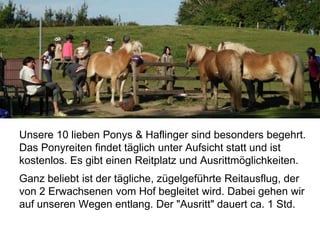 Unsere 10 lieben Ponys & Haflinger sind besonders begehrt.
Das Ponyreiten findet täglich unter Aufsicht statt und ist
kostenlos. Es gibt einen Reitplatz und Ausrittmöglichkeiten.
Ganz beliebt ist der tägliche, zügelgeführte Reitausflug, der
von 2 Erwachsenen vom Hof begleitet wird. Dabei gehen wir
auf unseren Wegen entlang. Der "Ausritt" dauert ca. 1 Std.
 