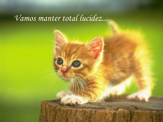 Vamos manter total lucidez... 