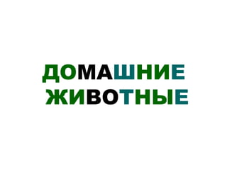 ДОМАШНИЕ
ЖИВОТНЫЕ
 
