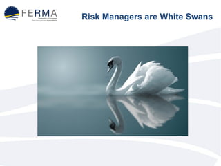 Risk Managers are White Swans 
 