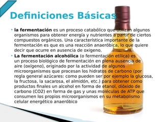  la fermentación es un proceso catabólico que utilizan algunos
organismos para obtener energía y nutrientes a partir de ciertos
compuestos orgánicos. Una característica importante de la
fermentación es que es una reacción anaeróbica, lo que quiere
decir que ocurre en ausencia de oxigeno.
 La fermentación alcohólica (o fermentación etílica) es
un proceso biológico de fermentación en plena ausencia de
aire (oxígeno), originado por la actividad de algunos
microorganismos que procesan los hidratos de carbono (por
regla general azúcares: como pueden ser por ejemplo la glucosa,
la fructosa, la sacarosa, el almidón, etc.) para obtener como
productos finales un alcohol en forma de etanol, dióxido de
carbono (CO2) en forma de gas y unas moléculas de ATP que
consumen los propios microorganismos en su metabolismo
celular energético anaeróbico
Definiciones Básicas
 