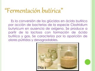 “Fermentación butírica”
Es la conversión de los glúcidos en ácido butírico
por acción de bacterias de la especie Clostridi...