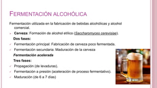 FERMENTACIÓN ALCOHÓLICA
Fermentación utilizada en la fabricación de bebidas alcohólicas y alcohol
comercial.
 Cerveza: Formación de alcohol etílico (Saccharomyces cerevisiae).
Dos fases:
 Fermentación principal: Fabricación de cerveza poco fermentada.
 Fermentación secundaria: Maduración de la cerveza
Fermentación acelerada
Tres fases:
 Propagación (de levaduras).
 Fermentación a presión (aceleración de proceso fermentativo).
 Maduración (de 6 a 7 días)
 