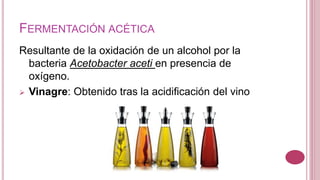 FERMENTACIÓN ACÉTICA
Resultante de la oxidación de un alcohol por la
bacteria Acetobacter aceti en presencia de
oxígeno.
 Vinagre: Obtenido tras la acidificación del vino
 