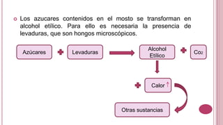  Los azucares contenidos en el mosto se transforman en
alcohol etílico. Para ello es necesaria la presencia de
levaduras, que son hongos microscópicos.
Azúcares Levaduras
Alcohol
Etílico
Co2
Calor
Otras sustancias
 