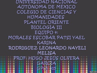 UNIVERSIDAD NACIONAL AUTÓNOMA DE MÉXICO COLEGIO DE CIENCIAS Y HUMANIDADES  PLANTEL ORIENTE BIOLOGÍA III EQUIPO 4: MORALES ESCOBAR PATSI YAEL KARINA   RODRIGUEZ LEONARDO NAYELI MELISA PROF: HUGO JESÚS OLVERA GARCÍA GPO: 515 