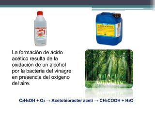 La formación de ácido 
acético resulta de la 
oxidación de un alcohol 
por la bacteria del vinagre 
en presencia del oxígeno 
del aire. 
C2H5OH + O2 → Acetobioracter aceti → CH3COOH + H2O 
 