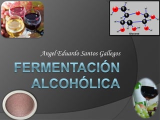 FERMENTACIÓN ALCOHÓLICA,[object Object],Angel Eduardo Santos Gallegos,[object Object]