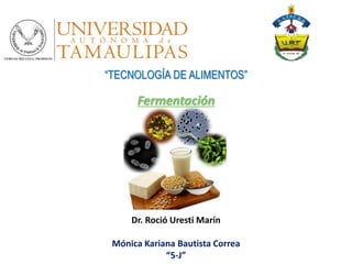 “TECNOLOGÍA DE ALIMENTOS”
Fermentación
Dr. Roció Uresti Marín
Mónica Kariana Bautista Correa
“5-J”
 