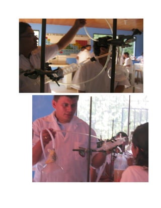 Fermentación y destilación