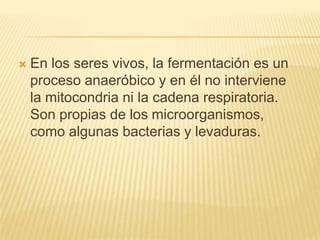 En los seres vivos, la fermentación es un proceso anaeróbico y en él no interviene la mitocondria ni la cadena respiratoria. Son propias de los microorganismos, como algunas bacterias y levaduras. 