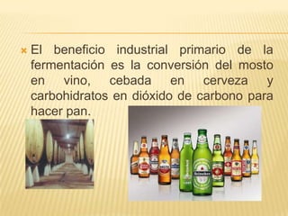 El beneficio industrial primario de la fermentación es la conversión del mosto en vino, cebada en cerveza y carbohidratos en dióxido de carbono para hacer pan. 