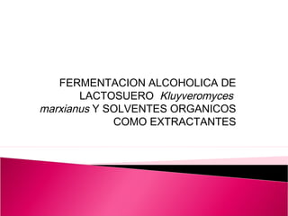 FERMENTACION ALCOHOLICA DE
       LACTOSUERO Kluyveromyces
marxianus Y SOLVENTES ORGANICOS
             COMO EXTRACTANTES
 