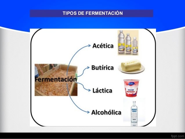 Fermentacion