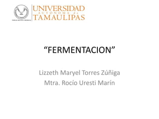 “FERMENTACION”
Lizzeth Maryel Torres Zúñiga
Mtra. Rocío Uresti Marín
 