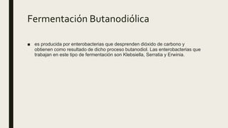 Fermentación Butanodiólica
■ es producida por enterobacterias que desprenden dióxido de carbono y
obtienen como resultado de dicho proceso butanodiol. Las enterobacterias que
trabajan en este tipo de fermentación son Klebsiella, Serratia y Erwinia.
 