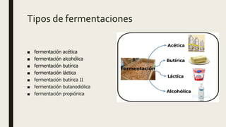 Tipos de fermentaciones
■ fermentación acética
■ fermentación alcohólica
■ fermentación butírica
■ fermentación láctica
■ fermentación butírica II
■ fermentación butanodiólica
■ fermentación propiónica
 