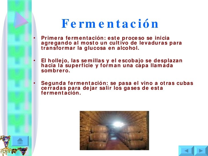 Fermentacion De Vinos