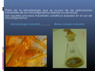Que es….
Parte de la Microbiología que se ocupa de las aplicaciones
industriales de los microorganismos (bienes y/o servicios).
Son aquellos procesos industriales catalíticos basados en el uso de
microorganismos.
Microbiología industrial Biotecnología Industrial
 