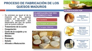 PROCESO DE FABRICACIÓN DE LOS
QUESOS MADUROS
 Su proceso es igual al de la
mayoría de los quesos
excepto por las etapas de
cuajo y maduración que
dependerá del tipo de queso
que se quiera obtener:
 Tratamiento de la Leche
 Coagulación
 Corte de la cuajada y su
desuerado
 Moldeo
 Prensado
 Salado
 Afinado o Maduración
Madurados
prensados de pasta
dura:
Añejo, Parmesano,
Madurados
prensados:
Cheddar, Manchego,
Edam, Gouda,
Gruyere, Emmental,
Provolone
De maduración con
mohos:
Azul, Cabrales,
Camembert,
Roquefort, Danablu,
Limburgo, Brie.
Por bacteria
Por hongos en corteza
Por hongos internos
CLASIFICACIÓN POR TIPO
DE FERMENTO PARA
MADURACIÓN
 