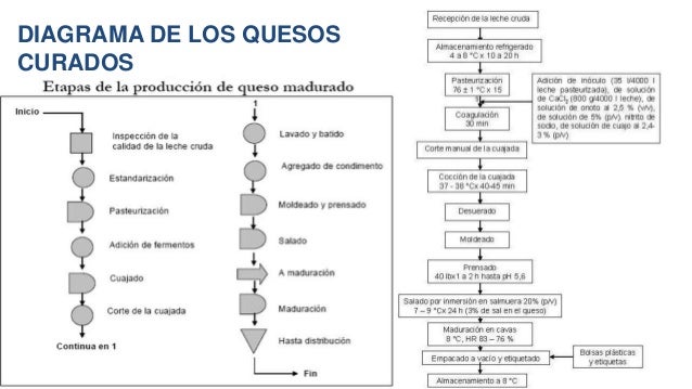 Get Diagrama De Flujo Del Queso Fresco Background Midjenum