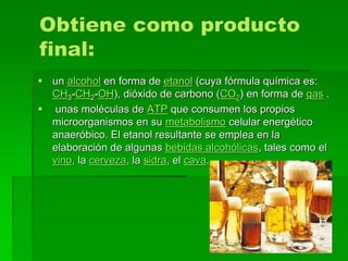  un alcohol en forma de etanol (cuya fórmula química es:
CH3-CH2-OH), dióxido de carbono (CO2) en forma de gas .
 unas moléculas de ATP que consumen los propios
microorganismos en su metabolismo celular energético
anaeróbico. El etanol resultante se emplea en la
elaboración de algunas bebidas alcohólicas, tales como el
vino, la cerveza, la sidra, el cava.
 