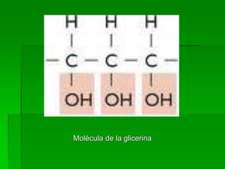 Molécula de la glicerina
 