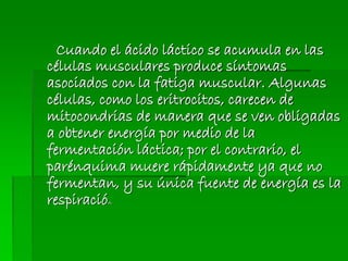 Cuando el ácido láctico se acumula en las
células musculares produce síntomas
asociados con la fatiga muscular. Algunas
células, como los eritrocitos, carecen de
mitocondrias de manera que se ven obligadas
a obtener energía por medio de la
fermentación láctica; por el contrario, el
parénquima muere rápidamente ya que no
fermentan, y su única fuente de energía es la
respiración.
 