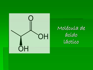 Molécula de
ácido
láctico
 