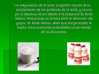 La coagulación de la leche (cuajada) resulta de la
precipitación de las proteínas de la leche, y ocurre
por el descenso de pH debido a la presencia de ácido
láctico. Este proceso es la base para la obtención del
yogur. El ácido láctico, dado que otorga acidez al
medio, tiene excelentes propiedades conservantes
de los alimentos.
 