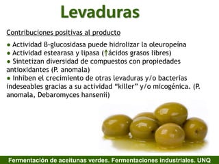 Levaduras
Contribuciones positivas al producto
● Actividad β-glucosidasa puede hidrolizar la oleuropeína
● Actividad estearasa y lipasa ( ácidos grasos libres)
● Sintetizan diversidad de compuestos con propiedades
antioxidantes (P. anomala)
● Inhiben el crecimiento de otras levaduras y/o bacterias
indeseables gracias a su actividad “killer” y/o micogénica. (P.
anomala, Debaromyces hansenii)
Fermentación de aceitunas verdes. Fermentaciones industriales. UNQ
 