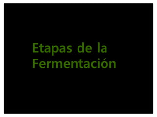 Etapas de la
Fermentación
 