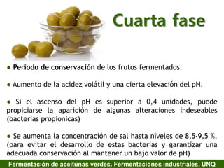 Cuarta fase
● Período de conservación de los frutos fermentados.
● Aumento de la acidez volátil y una cierta elevación del pH.
● Si el ascenso del pH es superior a 0,4 unidades, puede
propiciarse la aparición de algunas alteraciones indeseables
(bacterias propionicas)
● Se aumenta la concentración de sal hasta niveles de 8,5-9,5 %.
(para evitar el desarrollo de estas bacterias y garantizar una
adecuada conservación al mantener un bajo valor de pH)
Fermentación de aceitunas verdes. Fermentaciones industriales. UNQ
 