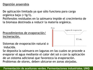 Digestión anaerobia
De aplicación limitada ya que sólo funciona para carga
orgánica baja (<1g/l).
Polifenoles residuales en la salmuera impide el crecimiento de
la biomasa destinada a reducir la materia orgánica.
Procedimientos de evaporación/
incineración.
Sistemas de evaporación natural o
inducida.
Se deposita la salmuera en lagunas en las cuales se procede a
evaporar el agua mediante el calor del sol o con la aplicación
de un sistema adicional que favorezca la evaporación.
Problemas de olores, deben ubicarse en zonas alejadas.
Fermentación de aceitunas verdes. Fermentaciones industriales. UNQ
 