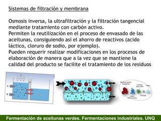 Sistemas de filtración y membrana
Osmosis inversa, la ultrafiltración y la filtración tangencial
mediante tratamiento con carbón activo.
Permiten la reutilización en el proceso de envasado de las
aceitunas, consiguiendo así el ahorro de reactivos (acido
láctico, cloruro de sodio, por ejemplo).
Pueden requerir realizar modificaciones en los procesos de
elaboración de manera que a la vez que se mantiene la
calidad del producto se facilite el tratamiento de los residuos
Fermentación de aceitunas verdes. Fermentaciones industriales. UNQ
 